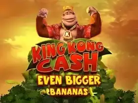 đá gà thomo bình luận